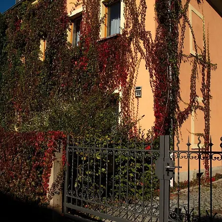 Frank's In Δρέσδη