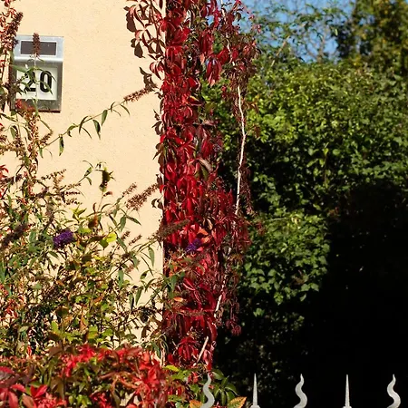 Frank's In Apartman Drezda