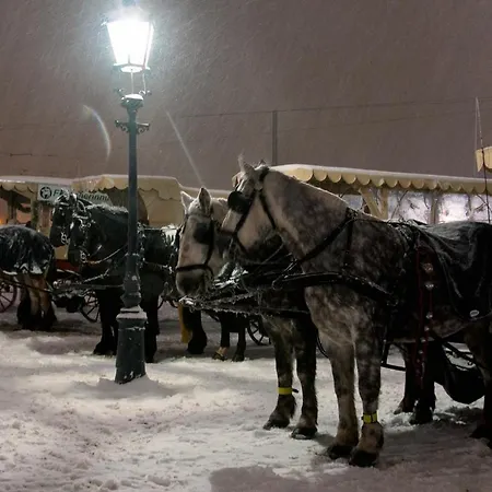 Frank's In * Δρέσδη