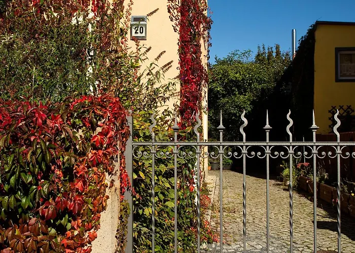 Frank's In Lejlighed Dresden