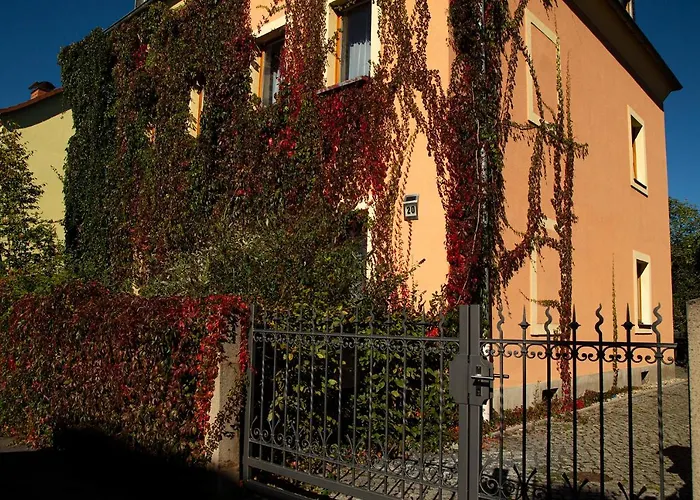 Frank's In دريسدن