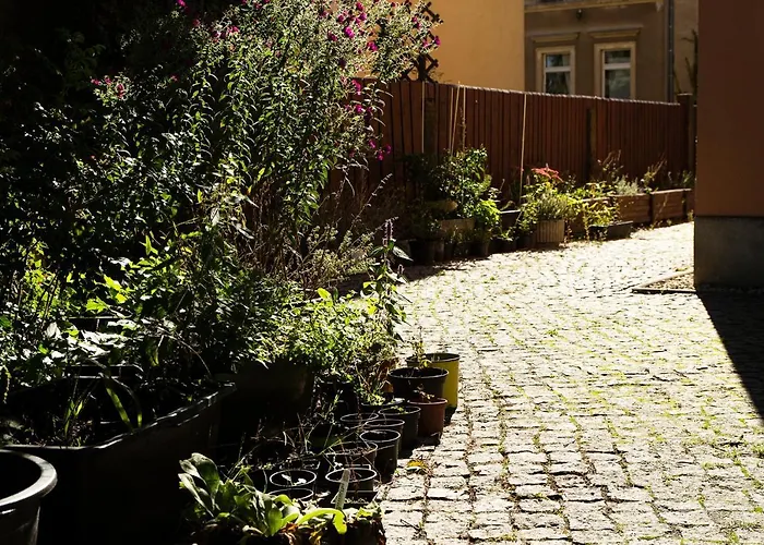 Lejlighed Frank's In Dresden