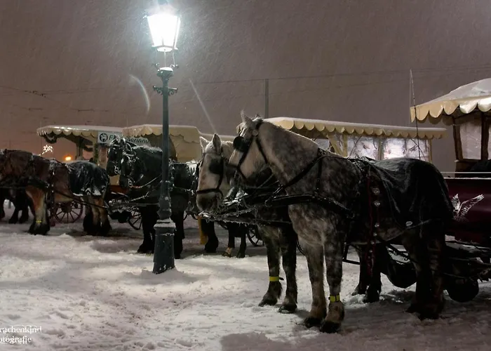 Frank's In * Dresden