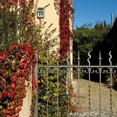 Frank's In Lejlighed Dresden