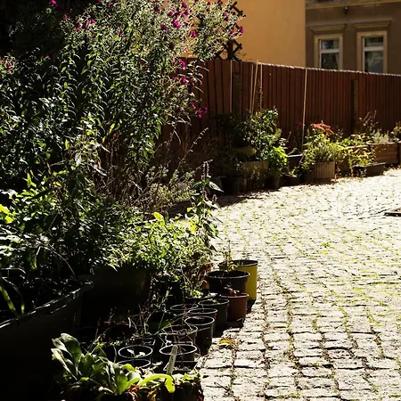 Lejlighed Frank's In Dresden