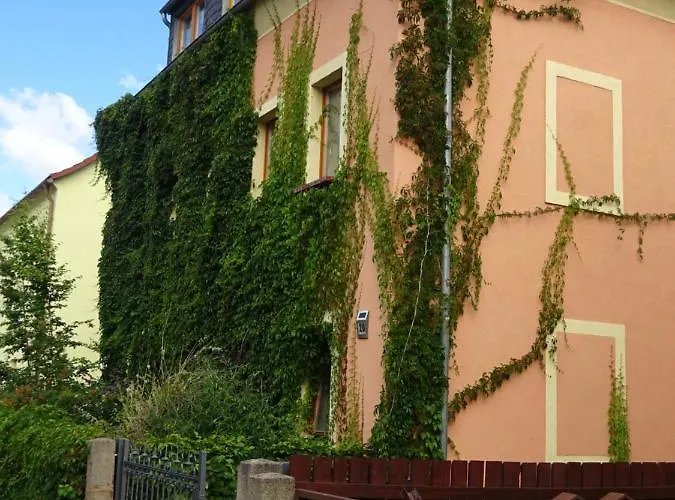 Frank´s In Dresden
