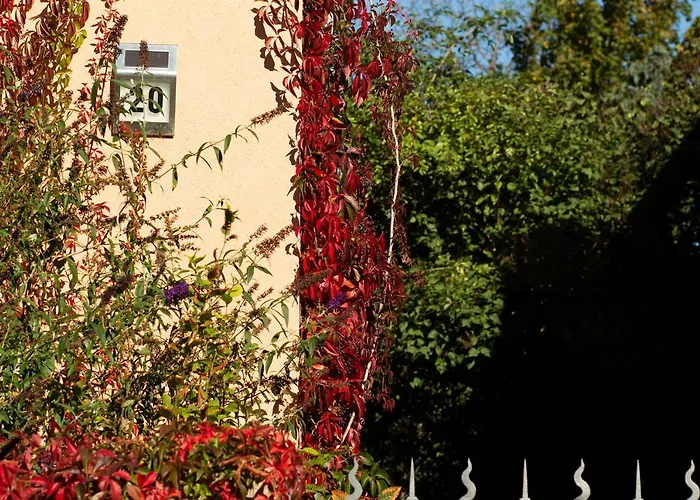 Frank's In Appartamento Dresda