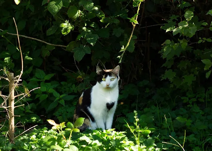 Frank's In Appartamento Dresda